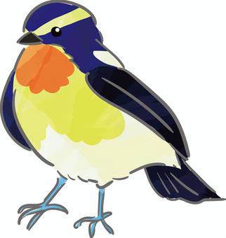 Narcissus flycatcher, JPG and PNG Narcissus flycatcher, kibitaki, bird, handwriting, JPG and PNG