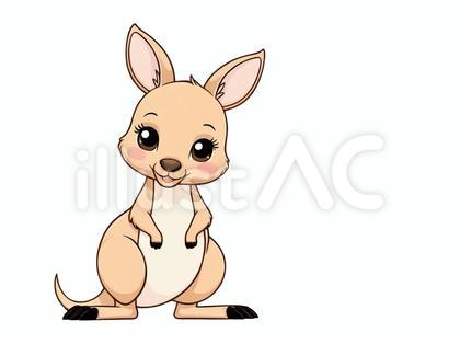 白バックに可愛い雌カンガルー