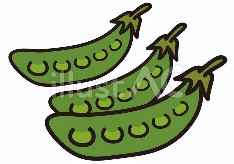 さやえんどう さやえんどう,絹さや,えんどう豆のイラスト素材