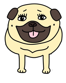 メスパグ正面 パグ,フォーン,鼻ぺちゃ犬,かわいい,ゆるい,手描き,メス,正面,女の子のイラスト素材
