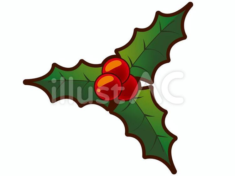 クリスマス　柊の飾り クリスマス,ヒイラギ,柊のイラスト素材