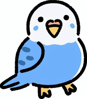 インコ インコ,セキセイインコ,鳥,小鳥,ペット,生き物,生物,鳥類,デフォルメ,シンプルのイラスト素材