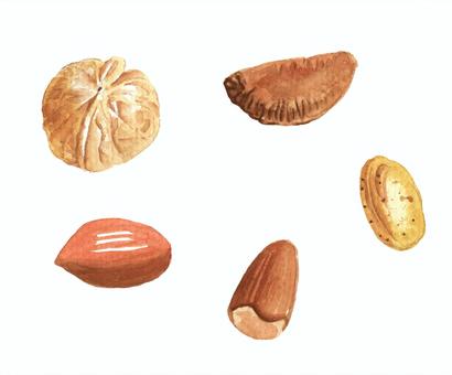 Nuts set, , JPG and PNG