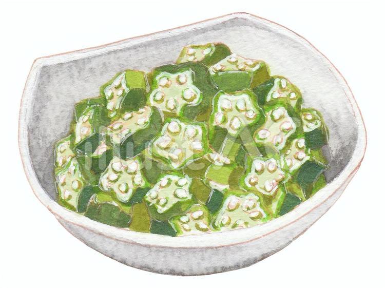 おくら おくら,野菜,食べ物のイラスト素材