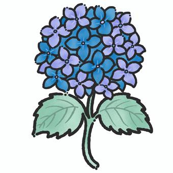 青い紫陽花のイラスト 紫陽花,梅雨,花,青,葉っぱ,6月,自然,季節,湿気,初夏のイラスト素材