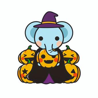 ハロウィンかぼちゃに囲まれたゾウ ハロウィン,コスプレ,象,マント,帽子,ジャックオランタン,橙,オレンジ,10月,行事のイラスト素材