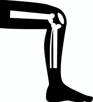 膝関節 足,関節,膝,骨格,体,パーツ,シンプル,デフォルメ,シルエットのイラスト素材