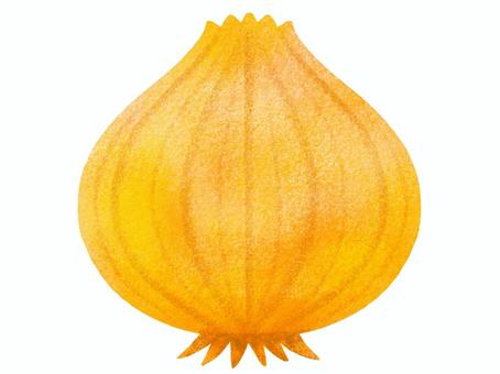 玉ねぎ 玉ねぎ 玉ねぎ,野菜,根菜,食べ物,食材,メニュー,レシピ,手描き,色鉛筆風,クレヨン風のイラスト素材