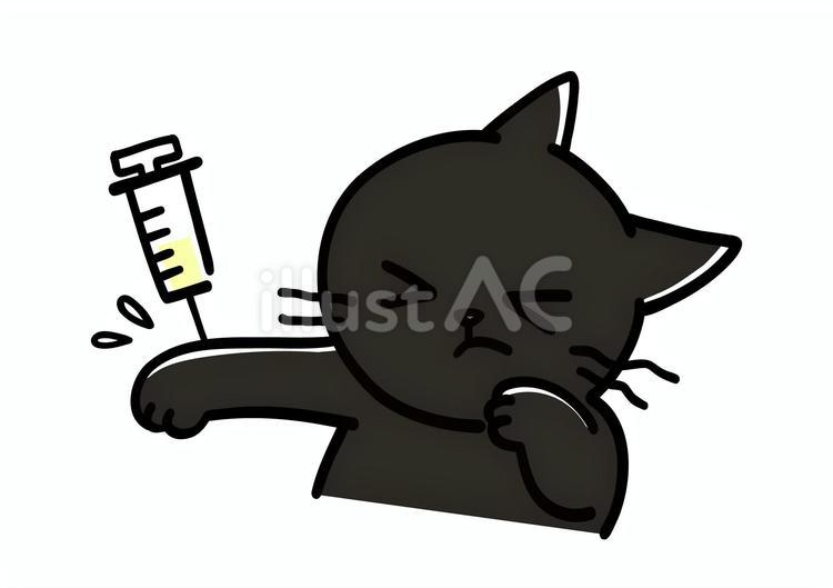 Free Vectors | Illustration of a cat afraid of injections