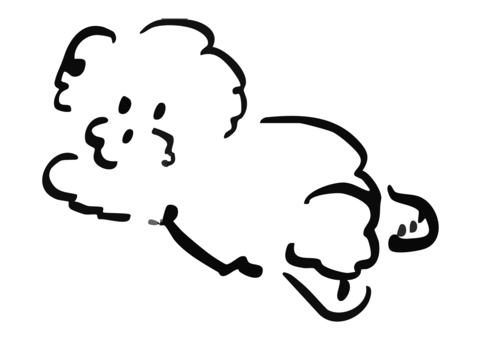 走るビションフリーゼ ビションフリーゼ,犬,かわいい,モフモフ,わんこ,ペット,動物,ふわふわ,シンプル,手描き風のイラスト素材