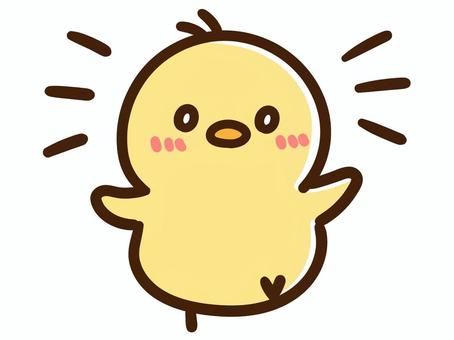 パーっと明るい表情を見せるかわいいひよこ ひよこ,明るい,嬉しい,発見,感動,動物,子ども,表情,ポーズ,楽しいのイラスト素材