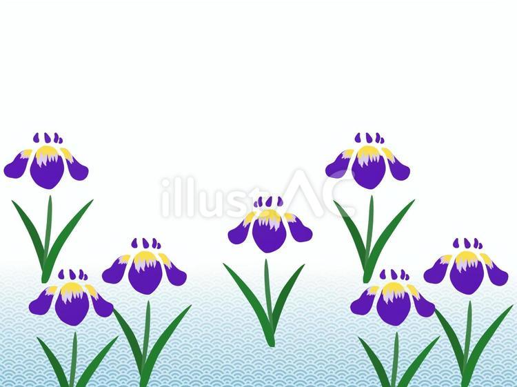 菖蒲、アヤメ、カキツバタ　花畑青海波 アヤメ,菖蒲,カキツバタのイラスト素材