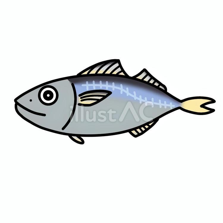 アジ 鯵,アジ,シンプルのイラスト素材