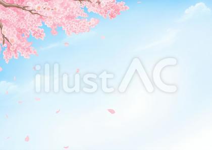 青空と桜