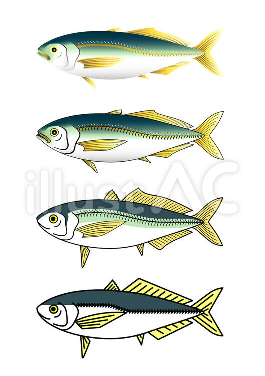あじ 鯵,魚介類,水産物のイラスト素材