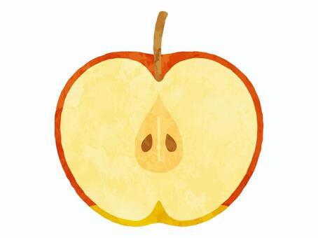 半分に切った赤リンゴ_水彩風 リンゴ,赤リンゴ,果物,食べ物,断面,半分,カット,水彩風,かわいい,イラストのイラスト素材