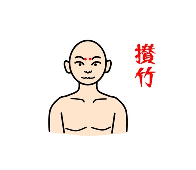 攅竹 鍼灸,ツボ,経穴,健康,東洋医学,攅竹のイラスト素材