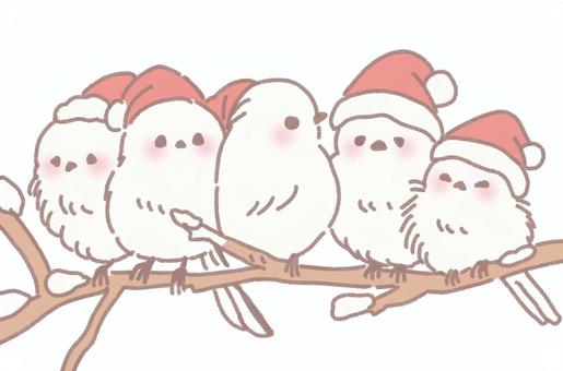 寄り添い合うサンタシマエナガたち シマエナガ,鳥,動物,群れ,集団,家族,友達,仲良し,かわいい,クリスマスのイラスト素材