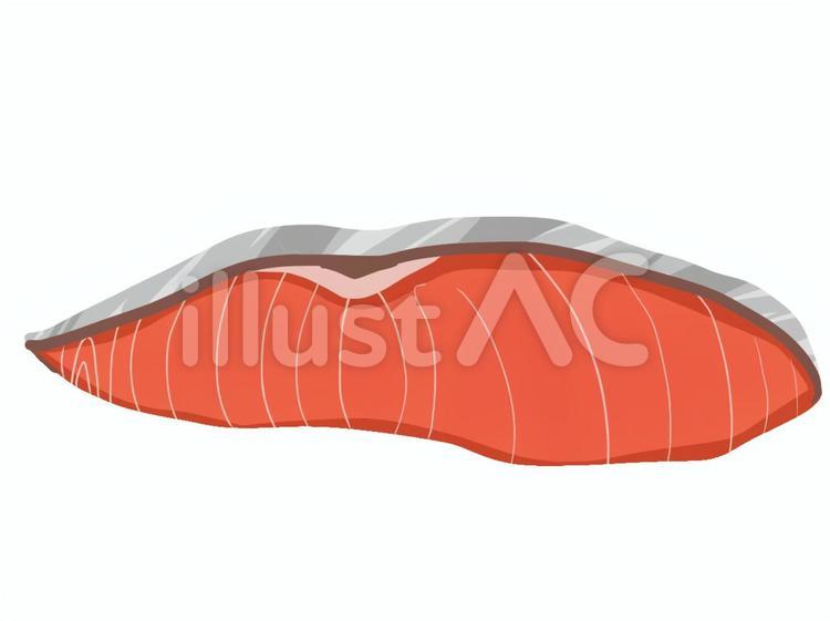鮭の切り身 鮭,サーモン,魚のイラスト素材