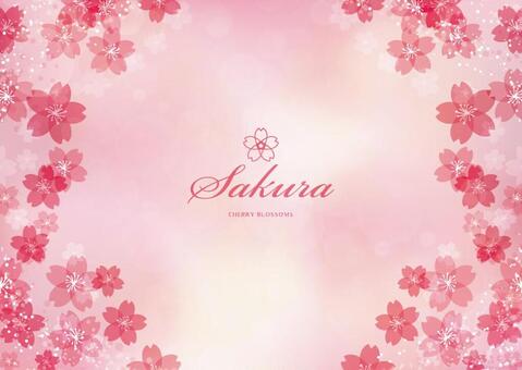 Spring background frame 001 Sakura pink, primavera, ciliegio, fiori di ciliegio, JPG, PNG and AI