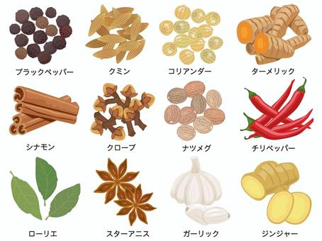 スパイスのイラストセット スパイス,ブラックペッパー,クミン,コリアンダー,ターメリック,シナモン,クローブ,ナツメグ,チリペッパー,ローリエのイラスト素材