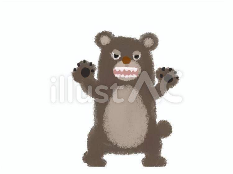 威嚇するクマ クマ,動物,手描きのイラスト素材