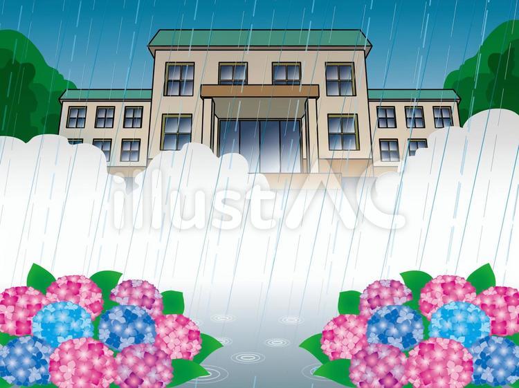 雨降り（46）介護ホームや施設とあじさい 梅雨,6月,雨のイラスト素材