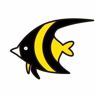 Illustration, angelfish, sea, creatures, 