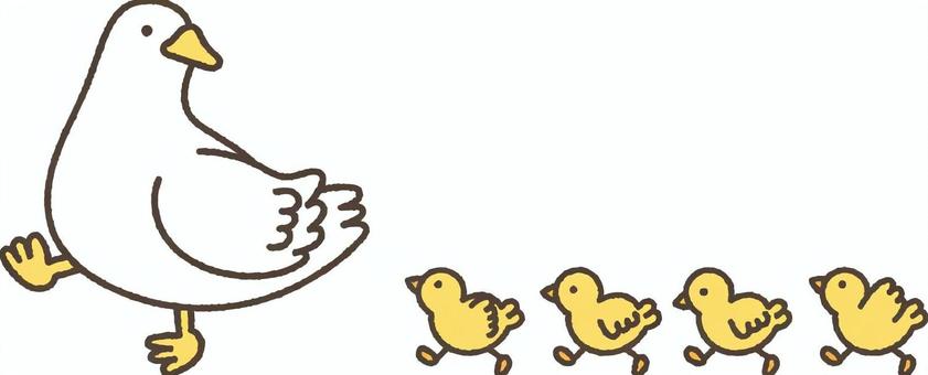 並んで歩くアヒルとヒナ アヒル,ヒナ,鳥,かわいい,親子,イラスト,挿絵,ワンポイント,子供,並ぶのイラスト素材