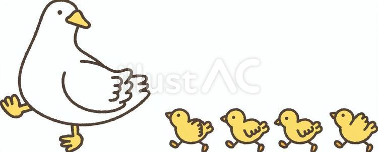 並んで歩くアヒルとヒナ アヒル,ヒナ,鳥のイラスト素材
