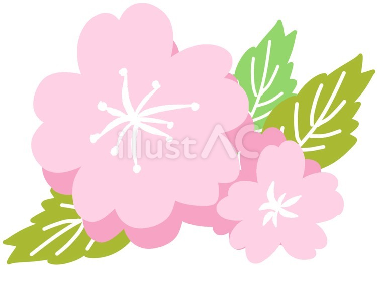 桜 桜,ピンク,花のイラスト素材