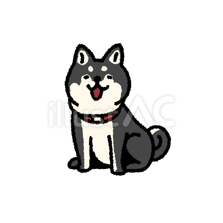 お座りをするかわいい黒柴 柴犬,黒柴,お座りのイラスト素材