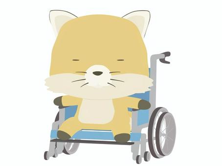 車椅子_狐 車椅子,狐,動物,かわいい,医療,瞑るのイラスト素材