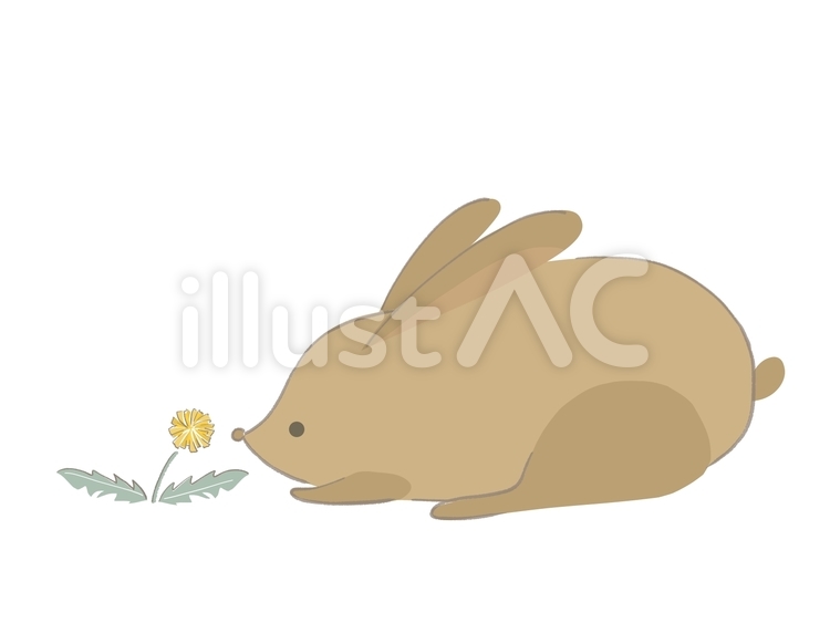 タンポポを見るウサギのイラスト　線あり うさぎ,たんぽぽ,動物のイラスト素材