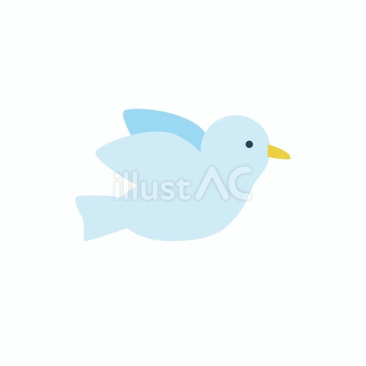 鳥類イラストカード 52枚セット 鳥類イラストカード 52枚セット
