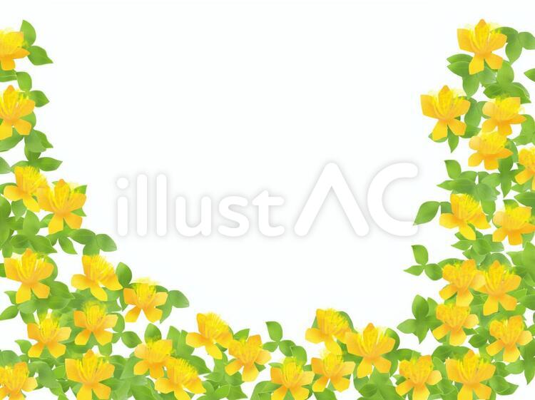 未央柳 ビヨウヤナギ イラスト No 1142 無料イラストなら イラストac