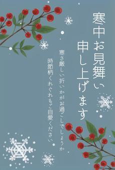 寒中見舞い　縦ver. 寒中見舞い,南天,冬,花,手書,テンプレート,ハガキ,雪,結晶,オシャレのイラスト素材