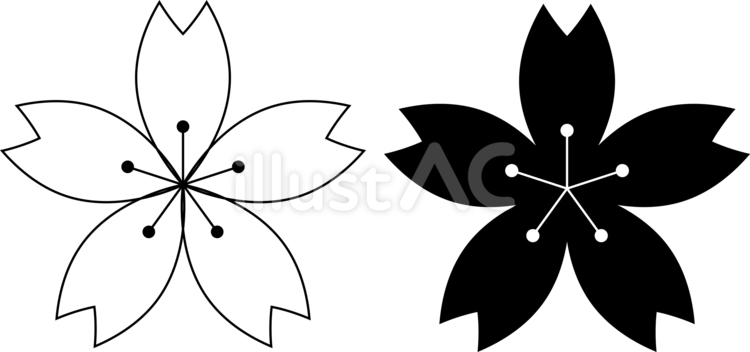 モノクロの桜 桜,シンプル,白黒のイラスト素材