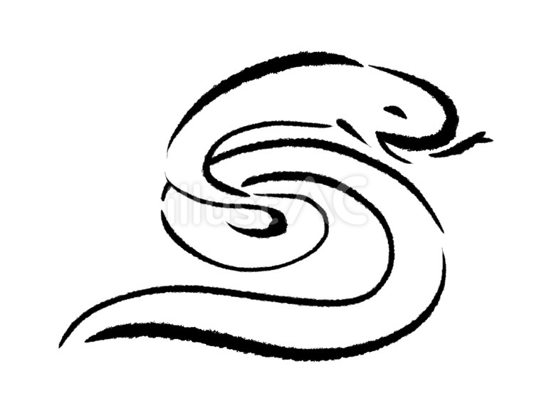 白蛇イラスト(筆書き風) 動物,蛇,爬虫類のイラスト素材