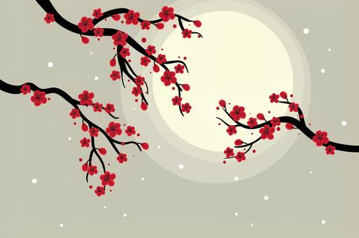 Illustration, cherry blossoms, frame, petal, 