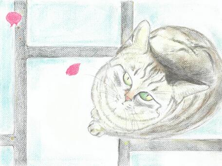 見上げる猫 猫,動物,窓辺,視線,パステルのイラスト素材