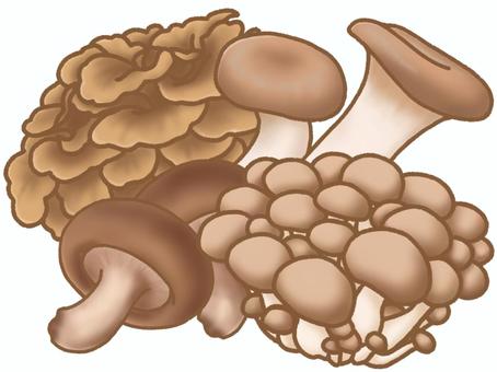 きのこづくし きのこづくし きのこ,しめじ,しいたけ,舞茸,エリンギ,野菜,食材,料理,食育,秋のイラスト素材