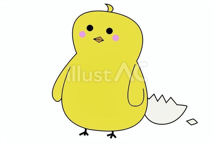 ゆるいヒヨコのイラスト ゆるい,ヒヨコ,雛のイラスト素材