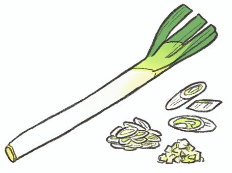 長ねぎ ネギ,長ねぎ,薬味,野菜,食べ物,鍋のイラスト素材