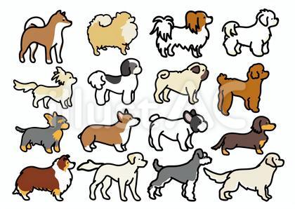 犬種セット 横向き