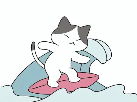 サーフィンする猫 猫,サーフィン,コミカル,かわいい,挿絵,動物,夏,海のイラスト素材
