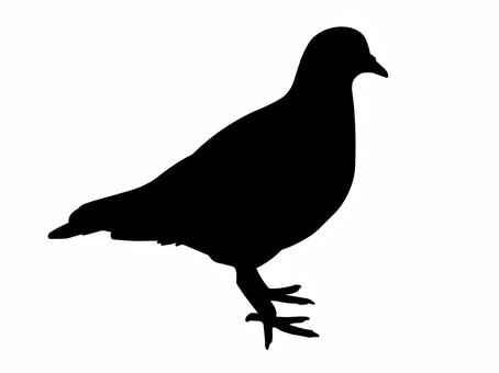 ハト 鳩,鳥,鳥類,動物,野生,シルエット,黒塗り,イメージ,シンプル,アイコンのイラスト素材