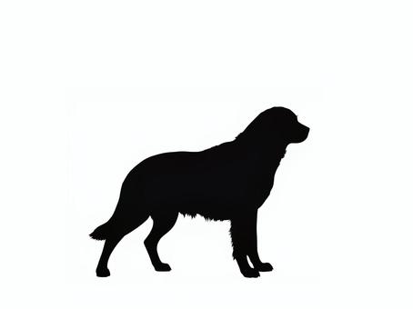 犬。。 犬,シルエット,動物,背景透過,黒犬,素材,ペット,哺乳類,アイコン,影絵のイラスト素材