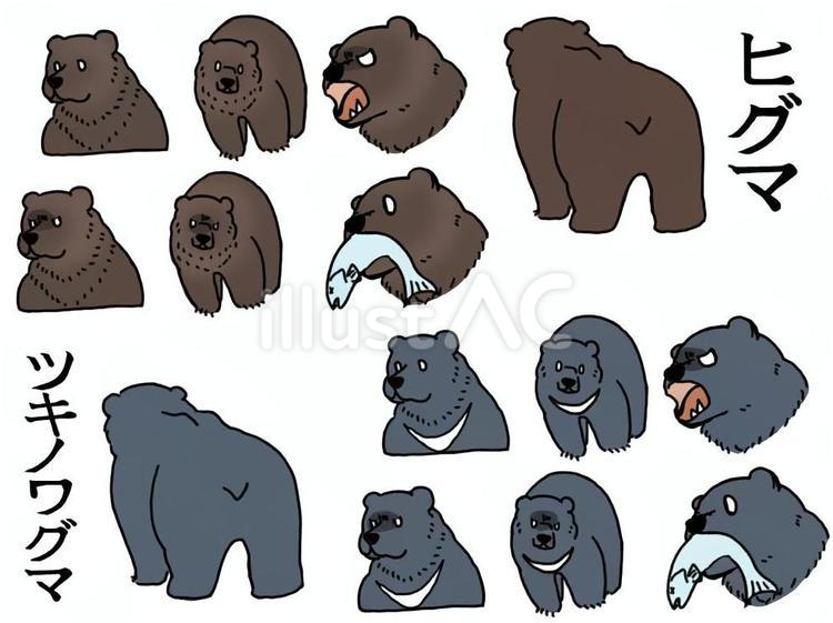 ヒグマとツキノワグマのセット クマ,かわいい,デフォルメのイラスト素材