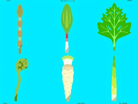 山菜２　枠無し 春,植物,食べ物,山菜,ツクシ,ギョウジャニンニク,ヨモギ,ワラビ,ヤマワサビ,チシマザサのイラスト素材
